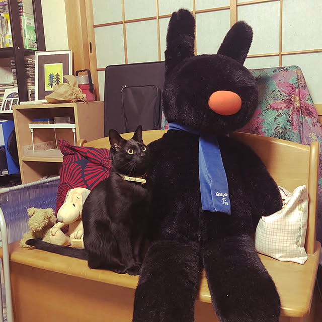 jijiさんの実例写真
