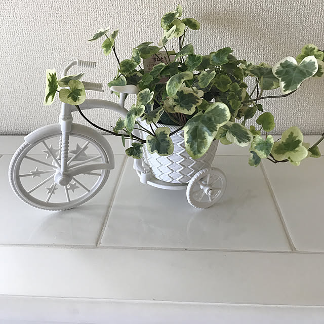 rikineiさんの実例写真