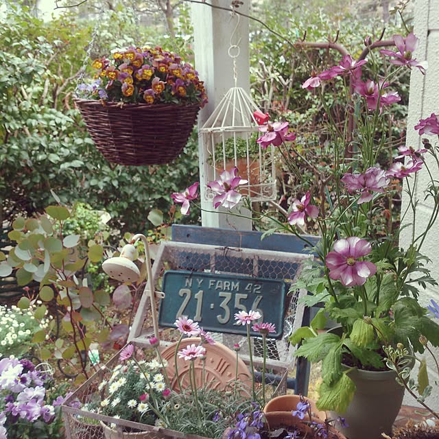 showさんの実例写真