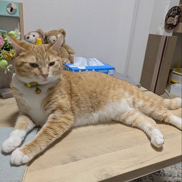 minnieさんの部屋