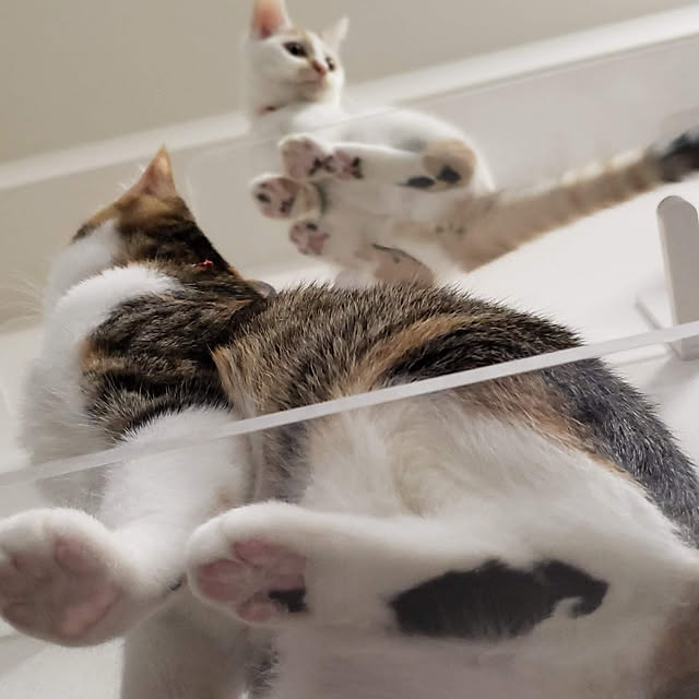 hiroさんの実例写真