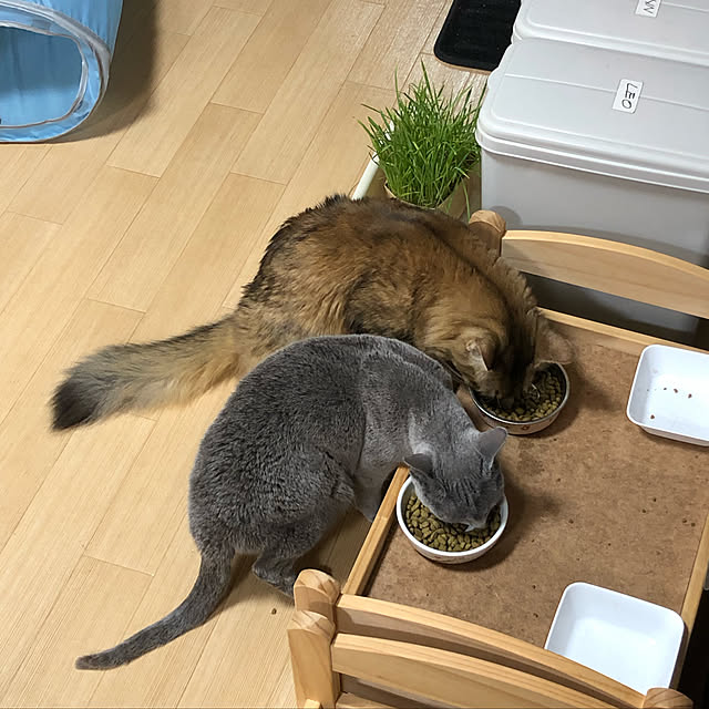 meさんの実例写真