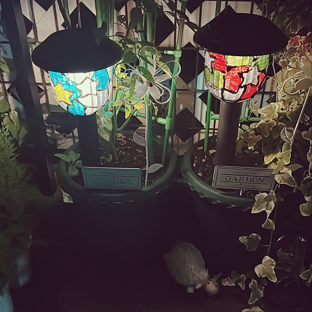miyuさんの部屋