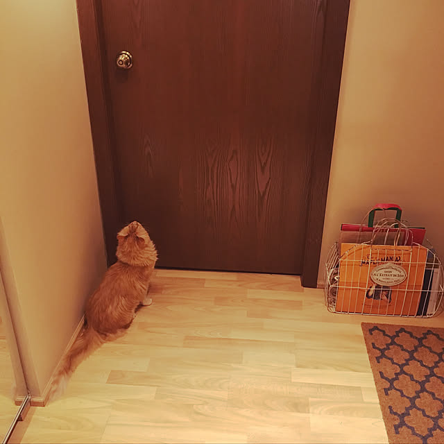 Keiさんの実例写真