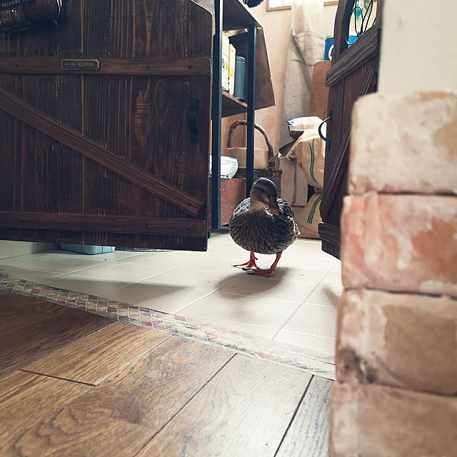 akiさんの実例写真