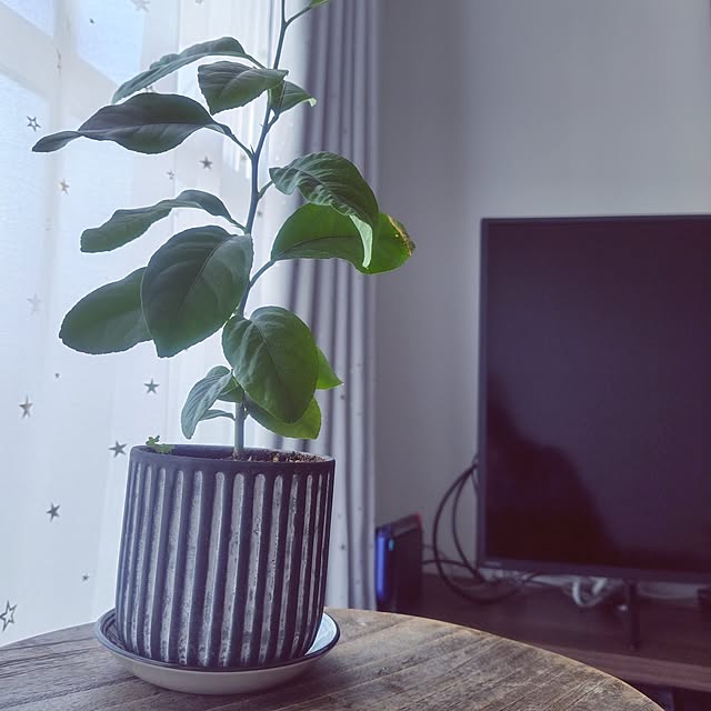 arm2045さんの実例写真