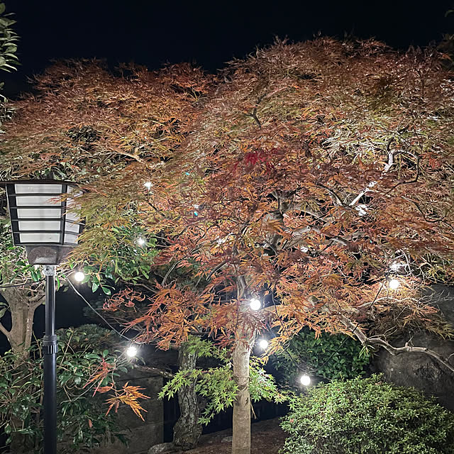 shin0719さんの実例写真