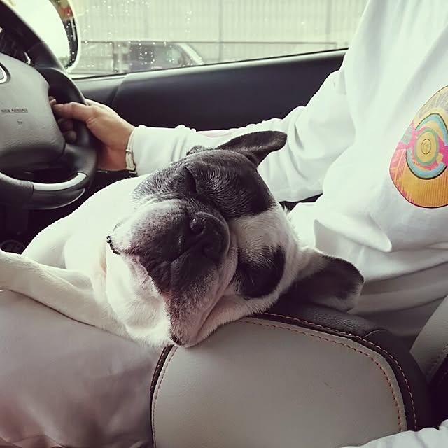 panchobiさんの実例写真