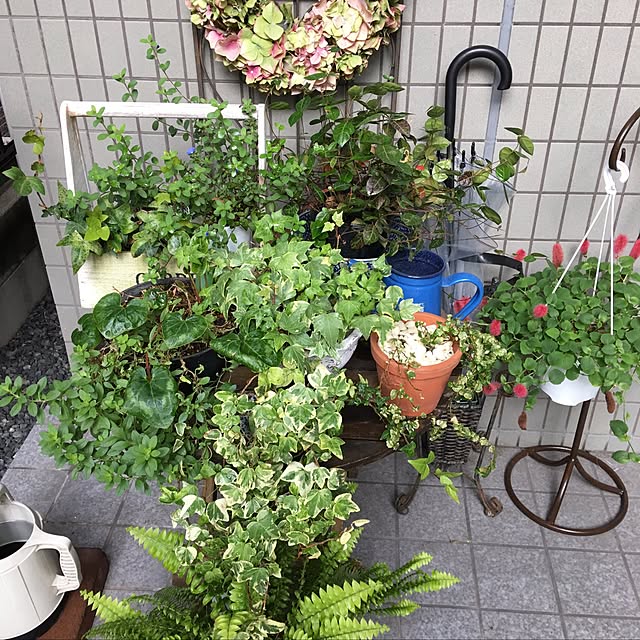 玄関/入り口のインテリア実例 - 2016-11-07 21:24:10