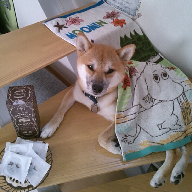 kotaさんの実例写真