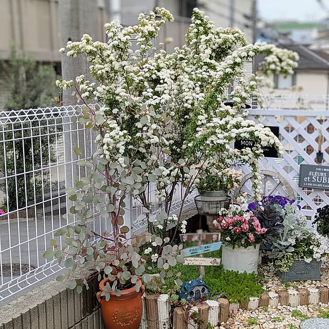 purpureさんの実例写真