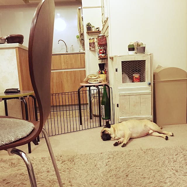 wadanorikodayoさんの実例写真