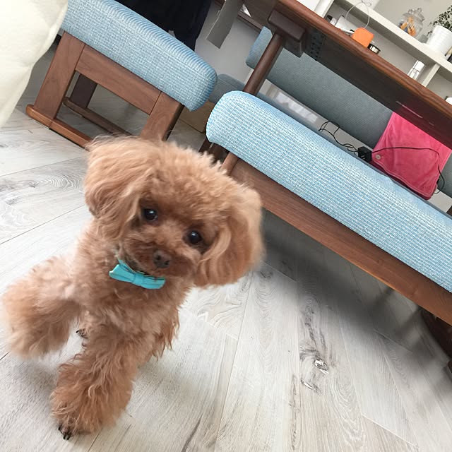 rarcmamaさんの実例写真