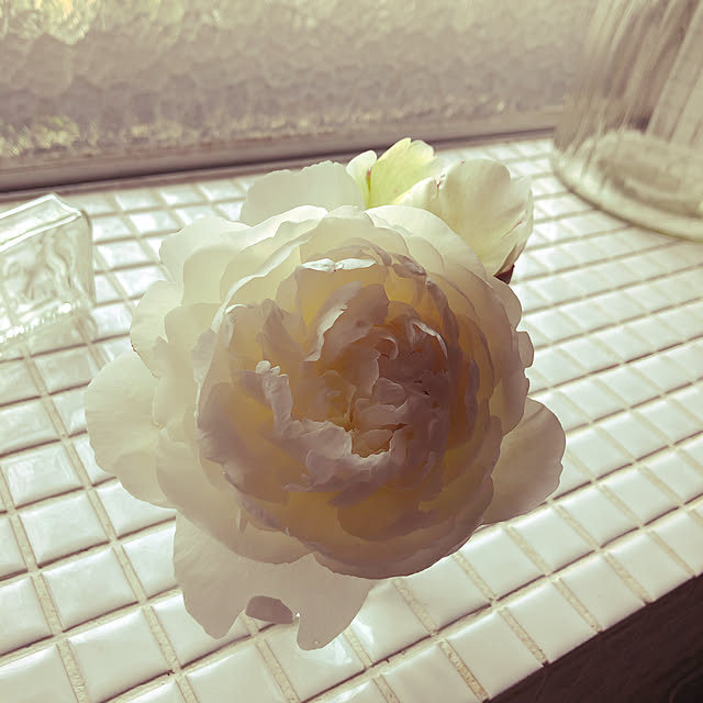takanaさんの実例写真