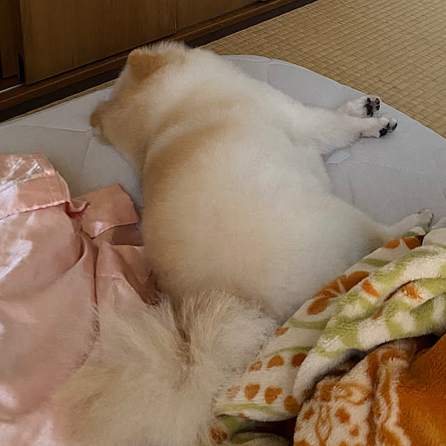 1546さんの部屋