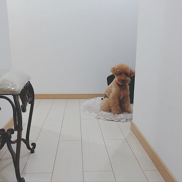 qooquさんの実例写真