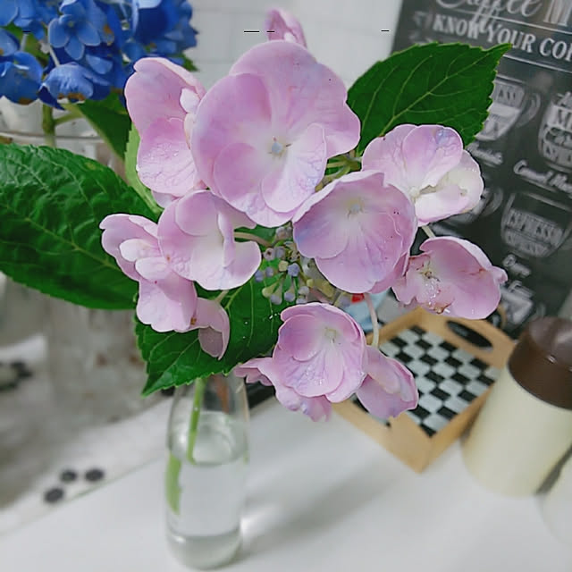 Motomeさんの実例写真