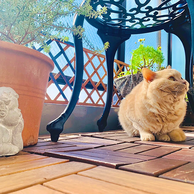 naokoさんの実例写真
