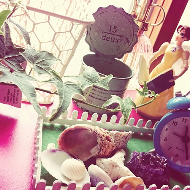 mktaroさんの実例写真