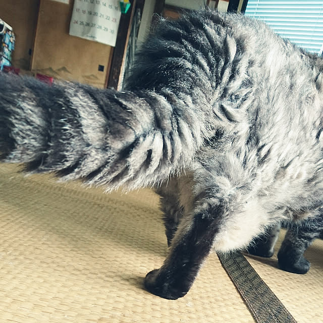 mieさんの実例写真