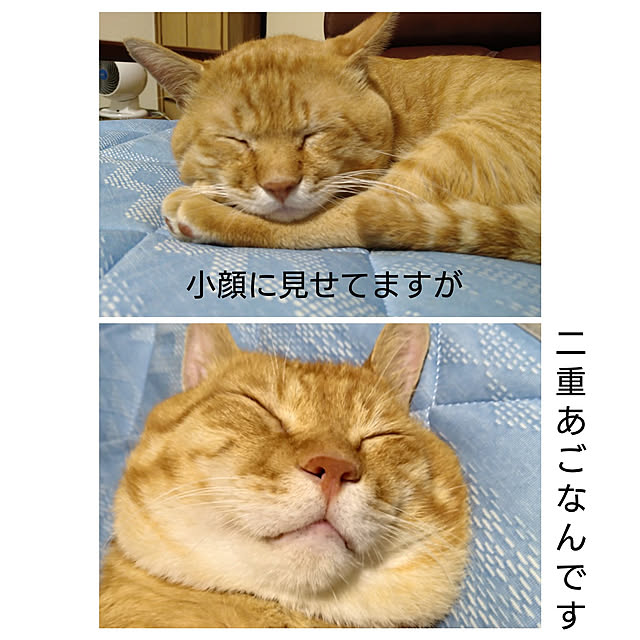 y.ebihara0811さんの実例写真