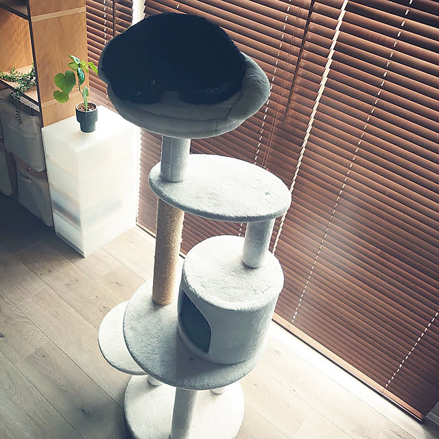 Blackcatさんの実例写真
