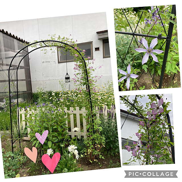 kanaharuさんの実例写真