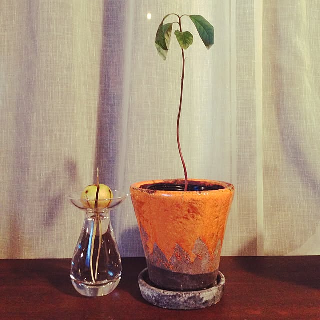 funachaanさんの実例写真