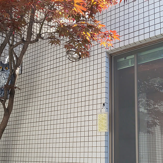 kumimmyさんの実例写真