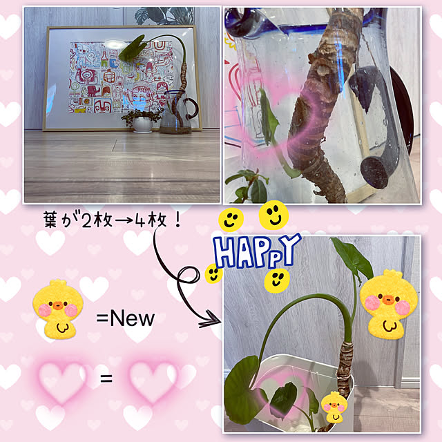 madamkaoriさんの実例写真