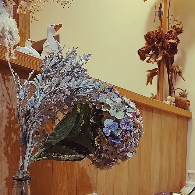 t.yumiさんの部屋