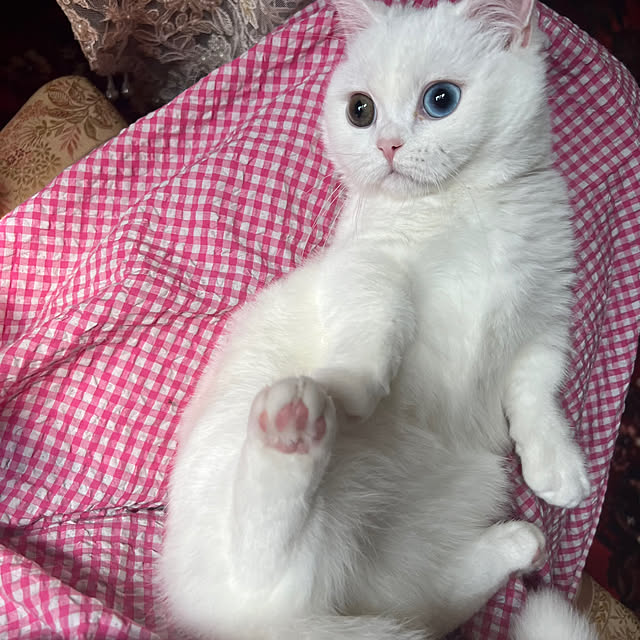 AYUKOさんの部屋