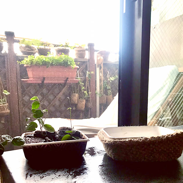 ryomamaさんの部屋