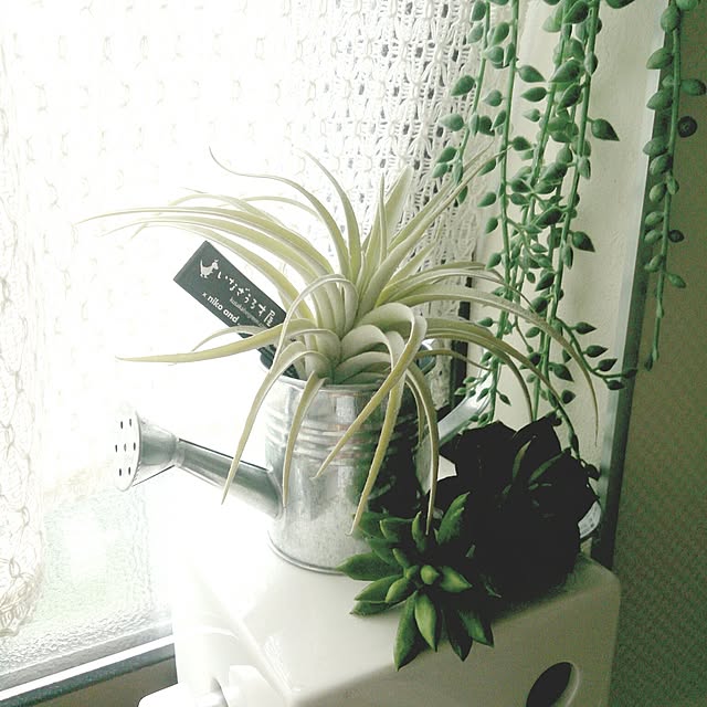 greenappleさんの実例写真