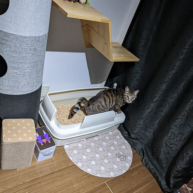 momoさんの実例写真