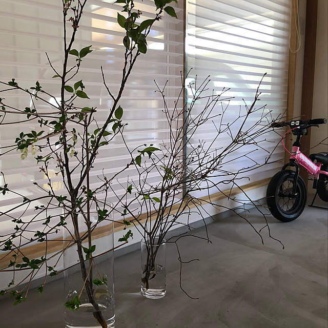 nininini6uuさんの実例写真