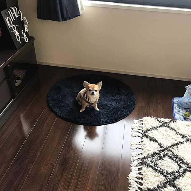 ai_qoo_hideさんの実例写真