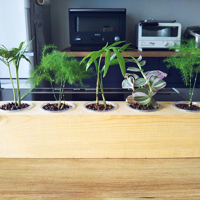 キッチン/西海岸/お花のある暮らし/花のある暮らし/観葉植物...などのインテリア実例 - 2019-06-03 01:43:31