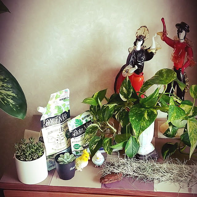 takoさんの実例写真