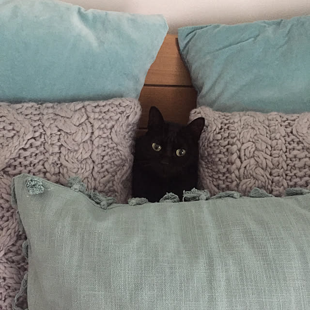 77777さんの実例写真