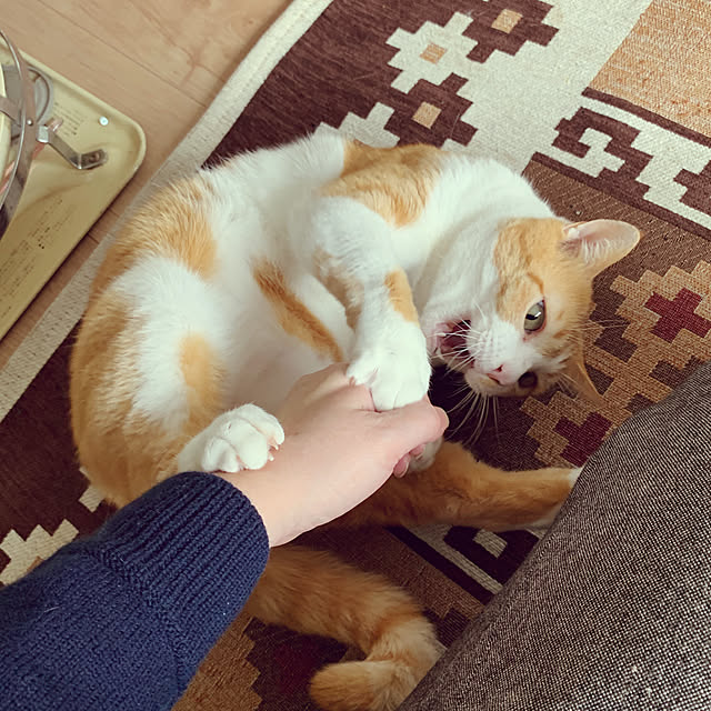 73さんの実例写真