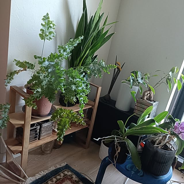 reko639さんの部屋