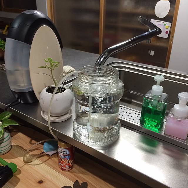 kemukujyaraさんの実例写真