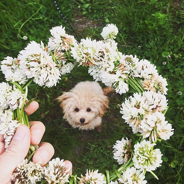 cocco0505さんの実例写真