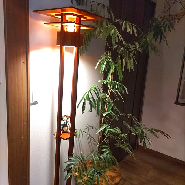 実例写真