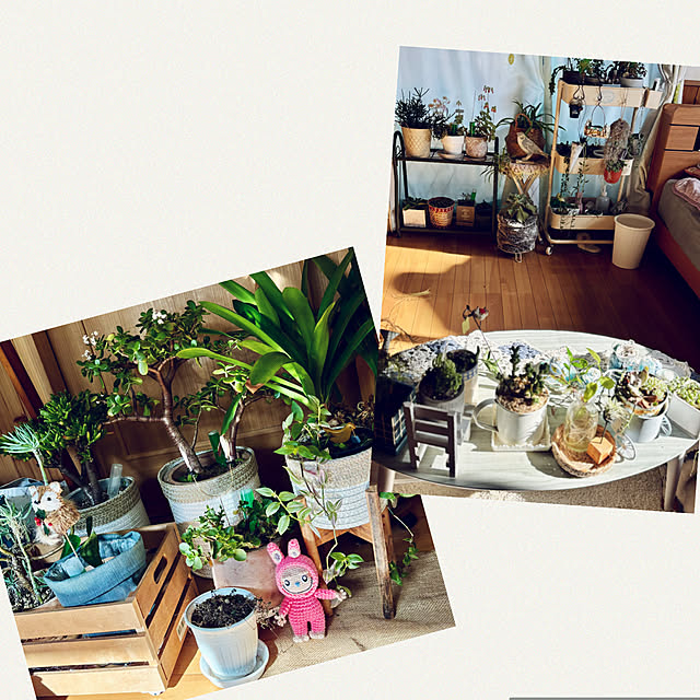 CoCo0617さんの部屋