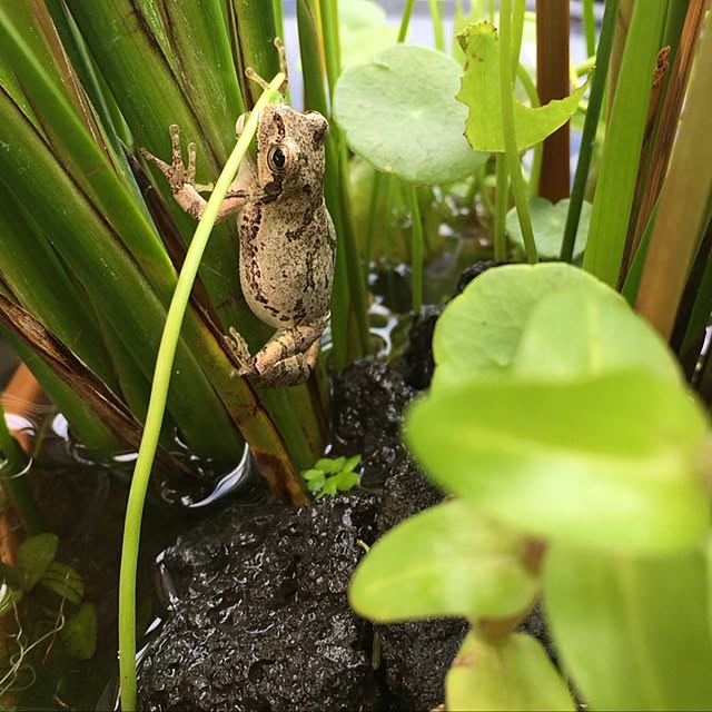 実例写真