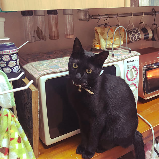 jijiさんの実例写真