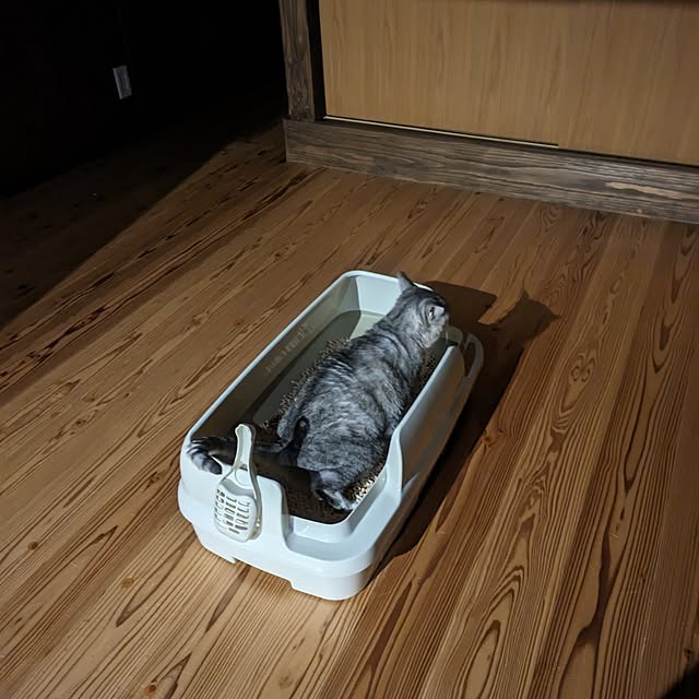chiibou5223さんの実例写真