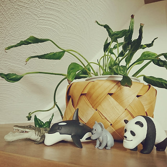 4-mamaさんの実例写真